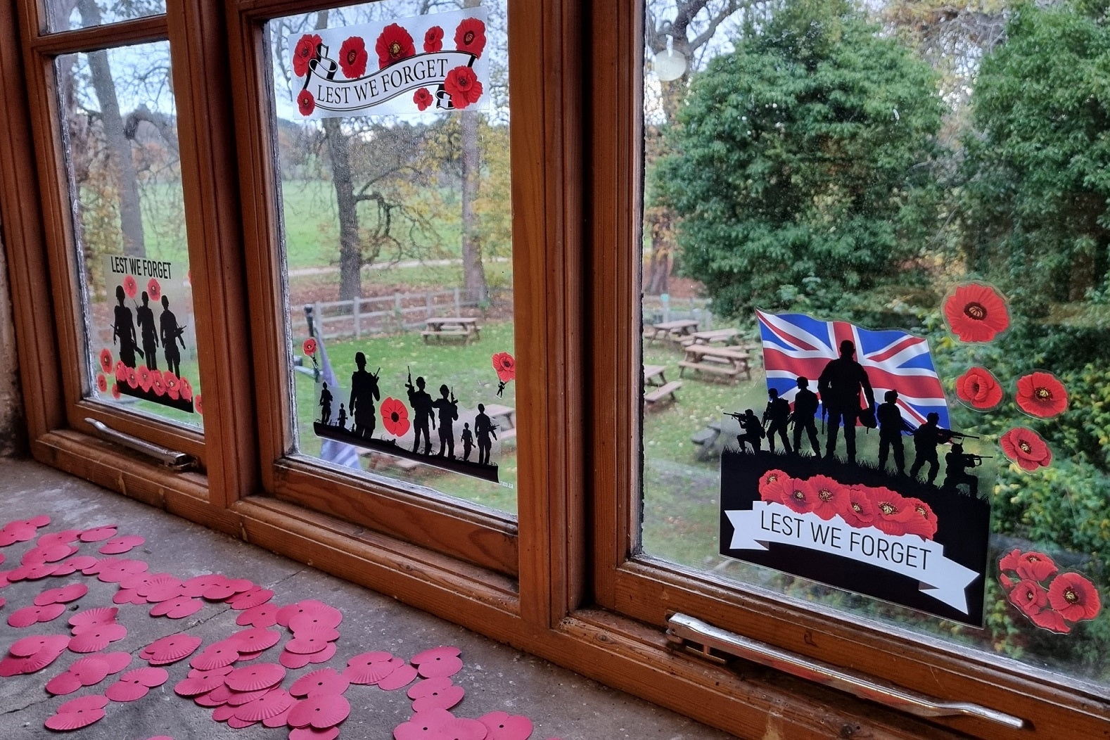 What's On - November