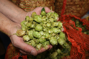 Brewing fresh hop