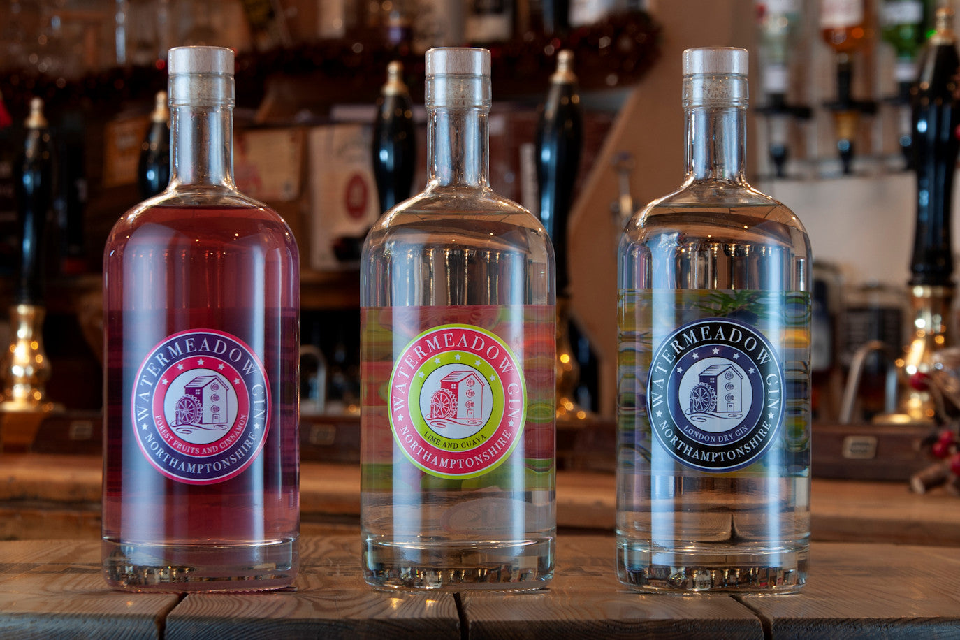 Launch of Watermeadow Gin