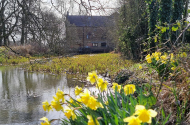 Easter Opening Hours