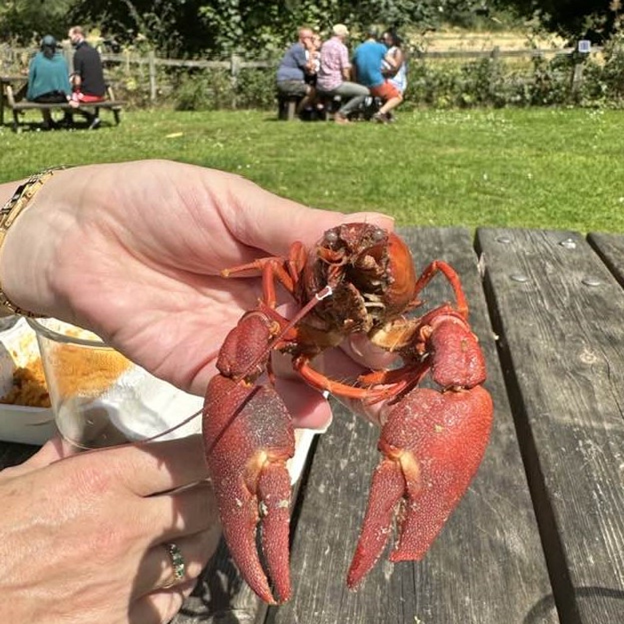 Sun 26 Jul - Crayfish Festival
