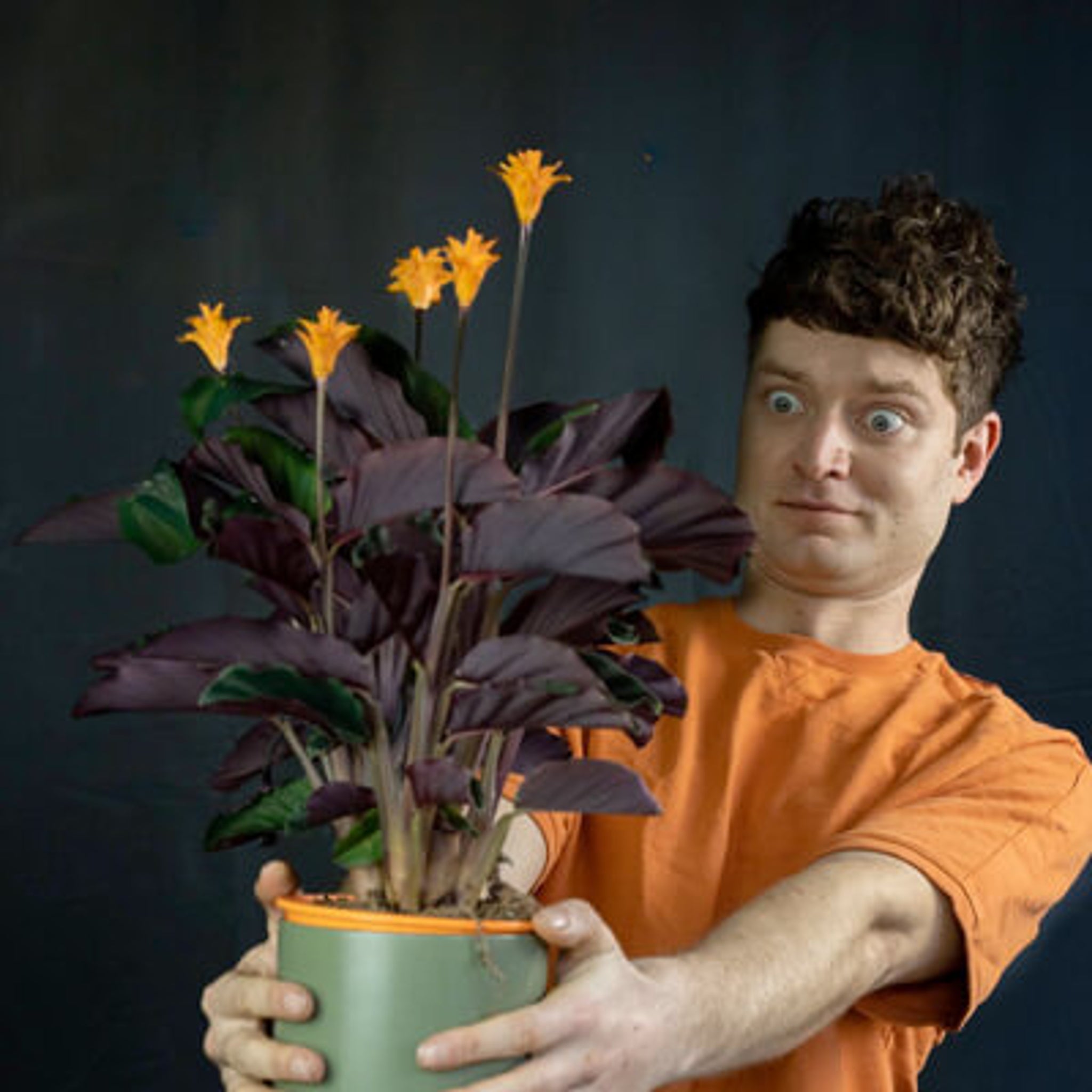 Thurs 27 Nov - Live Comedy Night