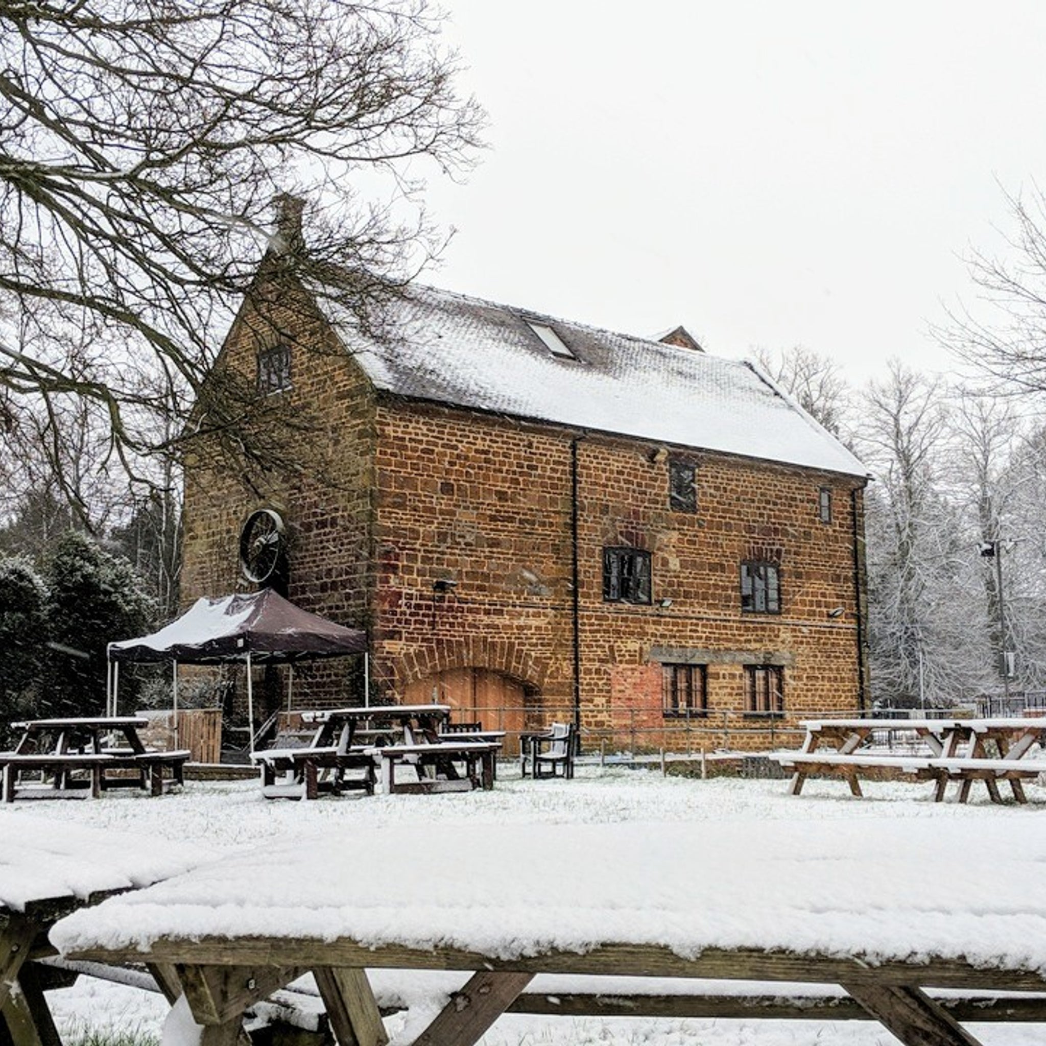 Saturdays - Moo Hatch